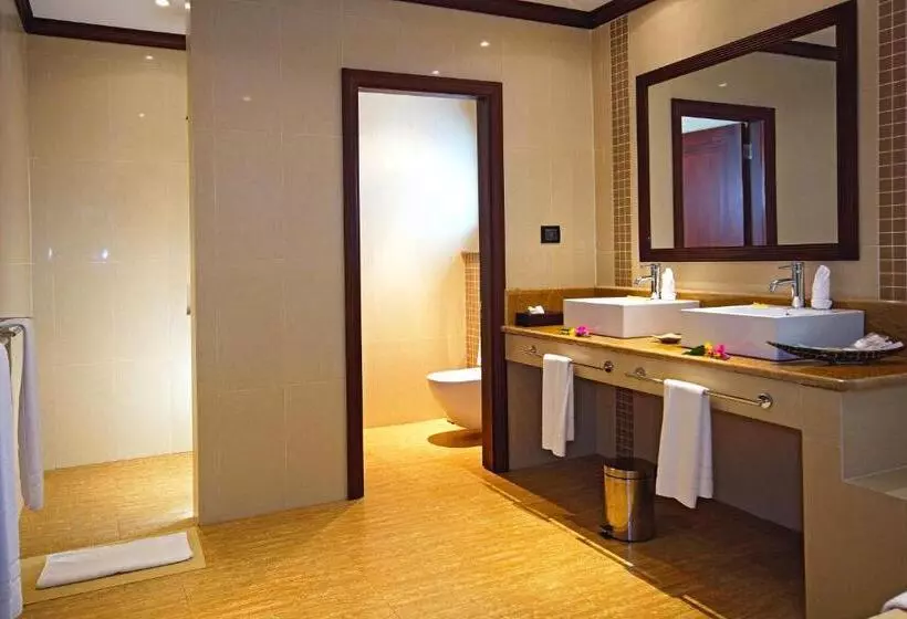 Fotos del hotel Hotel L'Archipel:  8