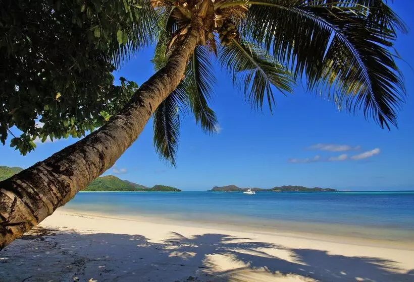 Fotos del hotel Hotel L'Archipel:  25