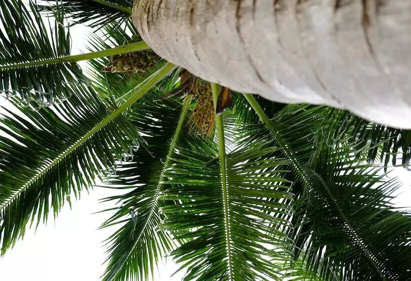 Fotos del hotel Hotel L'Archipel:  9