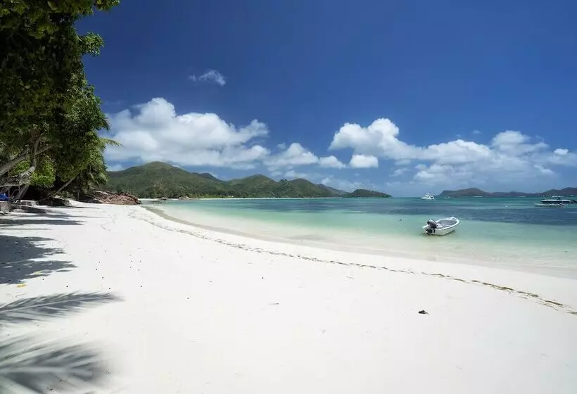 Fotos del hotel Hotel L'Archipel:  22