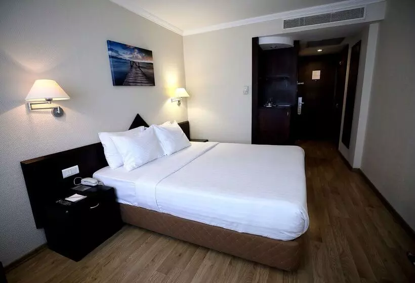 Fotos del hotel Dedeman Istanbul:  11