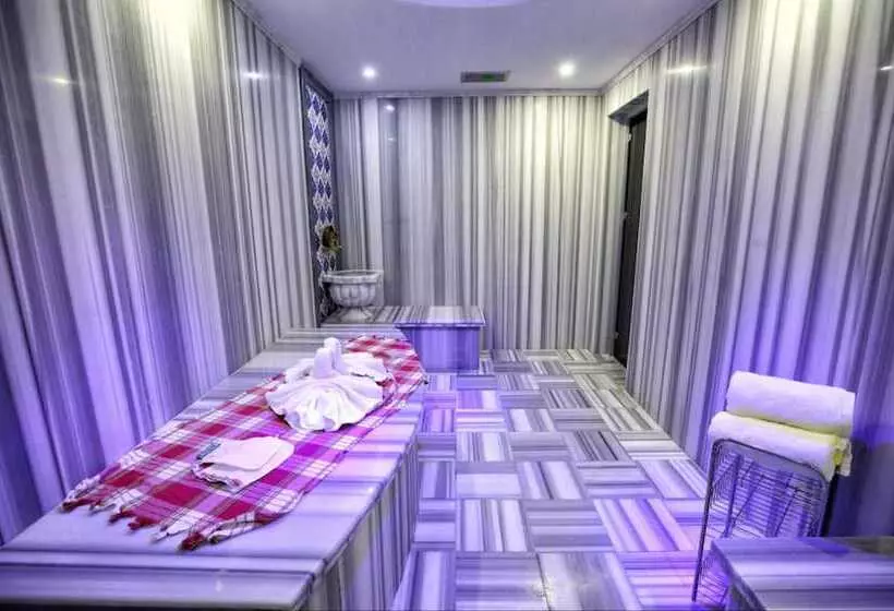 Fotos del hotel Dedeman Istanbul:  17