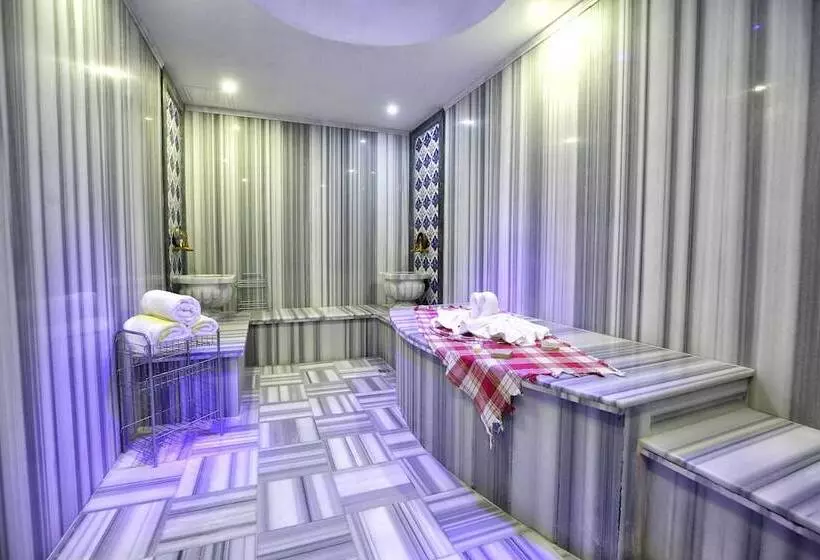 Fotos del hotel Dedeman Istanbul:  14