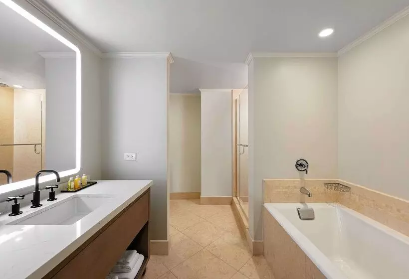 Fotos del hotel Royal Sonesta Chicago Downtown:  14