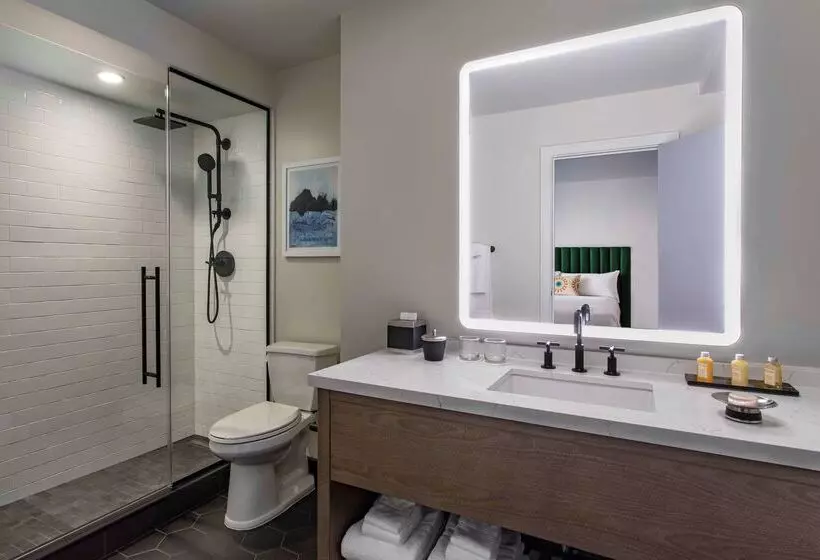 Fotos del hotel Royal Sonesta Chicago Downtown:  2