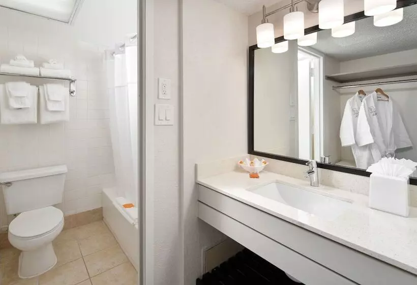 Fotos del hotel Avanti Palms Resort And Conference Center:  12