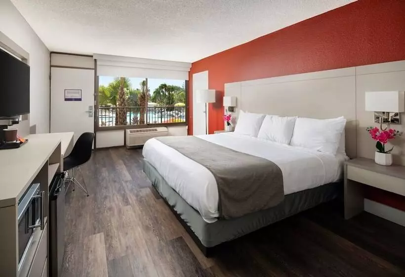 Fotos del hotel Avanti Palms Resort And Conference Center:  14