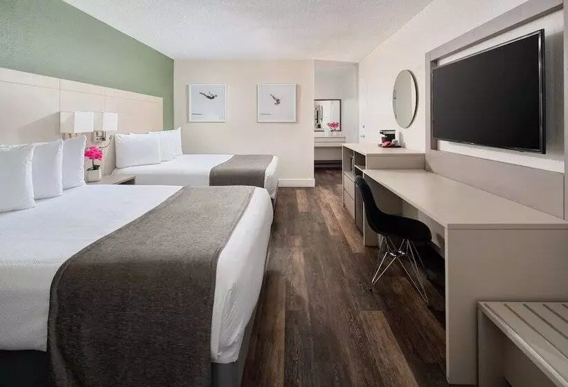 Fotos del hotel Avanti Palms Resort And Conference Center:  2