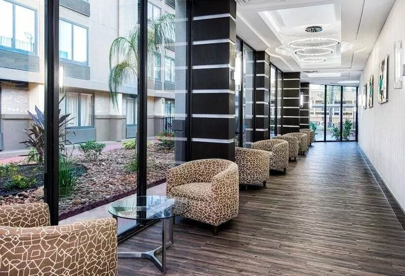 Fotos del hotel Holiday Inn Houston Sw-near Sugar Land, An Ihg:  3