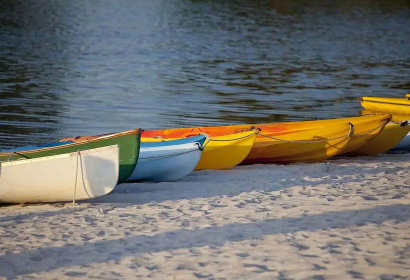 Fotos del hotel Hyatt Regency Grand Cypress Disney Area Orlando:  14