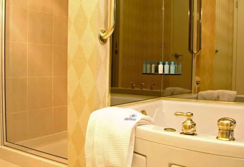 Fotos del hotel Hilton Atlanta Perimeter Suites:  11