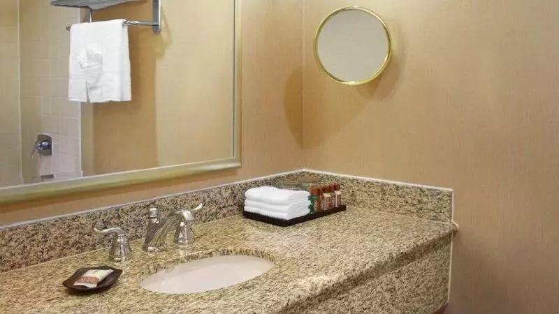 Fotos del hotel Sheraton Houston Brookhollow:  7