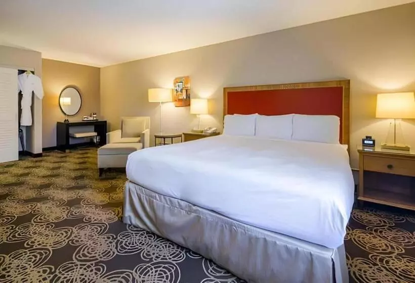 Fotos del hotel Radisson  San Diegorancho Bernardo:  9