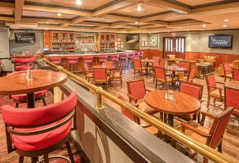 Fotos del hotel Mcm Elegante Hotel & Suites Dallas:  7