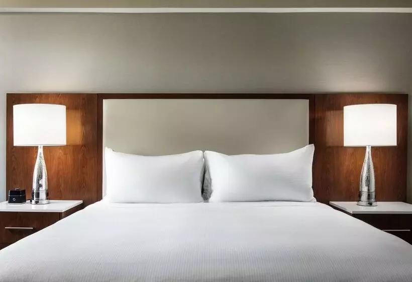 Fotos del hotel Hilton Boston Logan Airport:  15