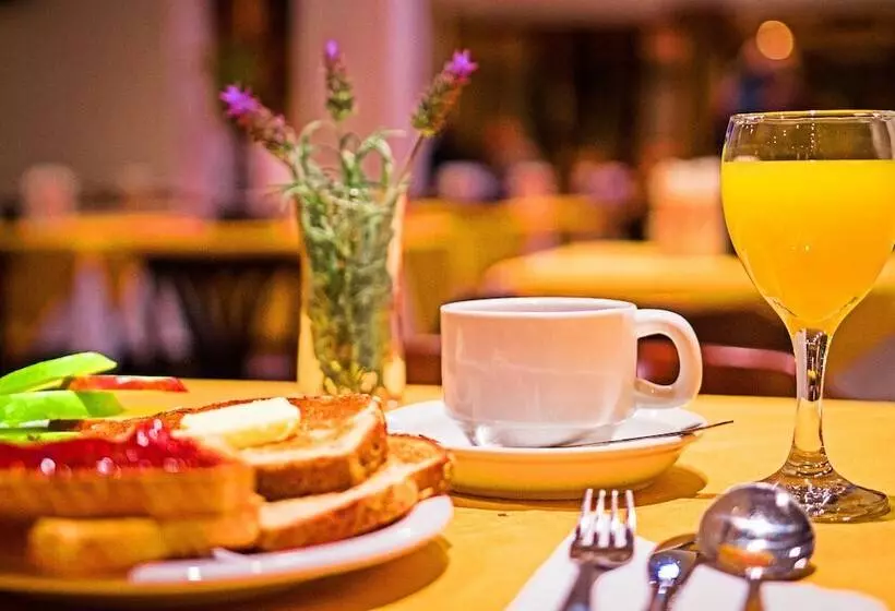 Fotos del hotel Hotel America:  12