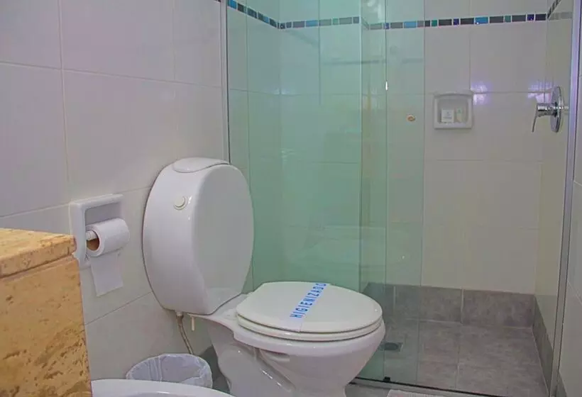 Fotos del hotel Hotel America:  7