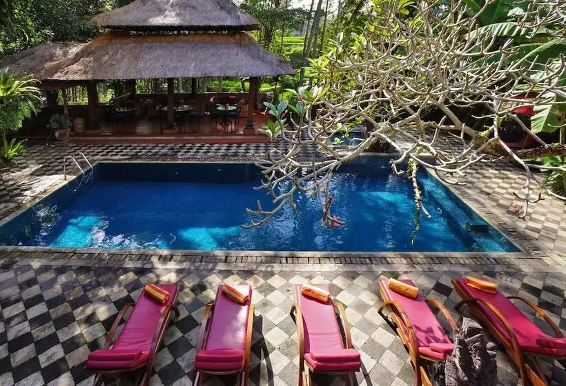 Fotos del hotel Arma Museum & Resort:  8