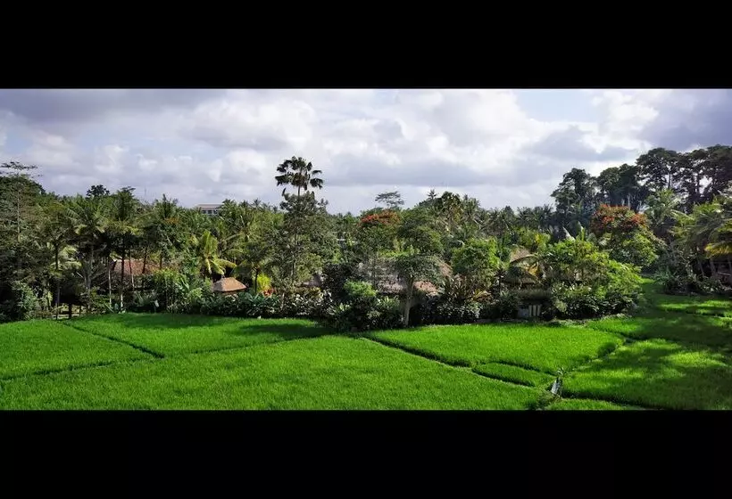 Fotos del hotel Arma Museum & Resort:  7