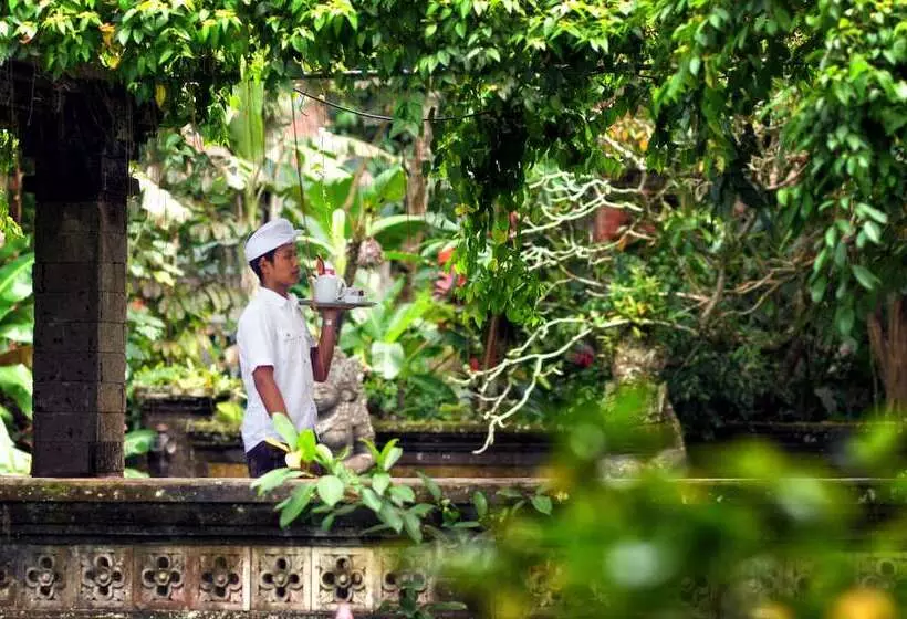 Fotos del hotel Arma Museum & Resort:  24