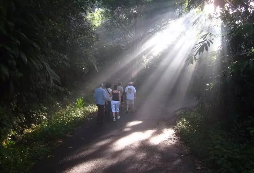 Fotos del hotel Arma Museum & Resort:  20