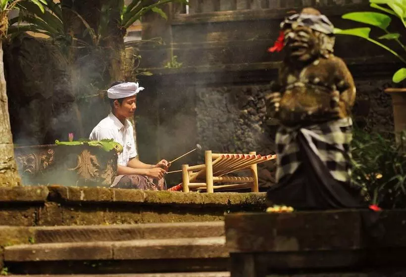 Fotos del hotel Arma Museum & Resort:  17