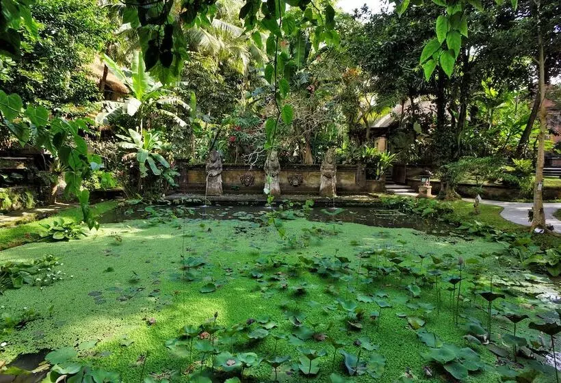 Fotos del hotel Arma Museum & Resort:  6