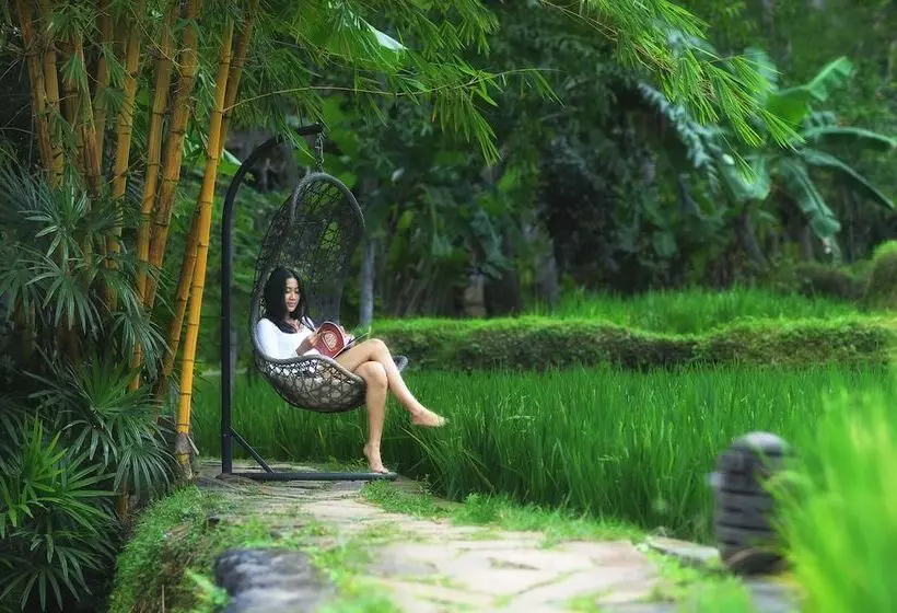 Fotos del hotel Arma Museum & Resort:  23