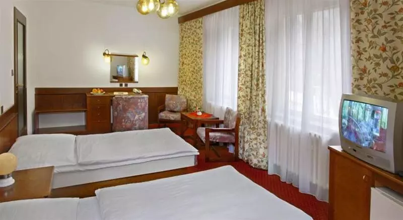 Fotos del hotel Spa Hotel Labe:  2