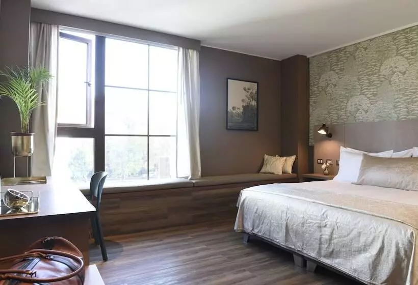 Fotos del hotel Eco Boutique Bidasoa:  17