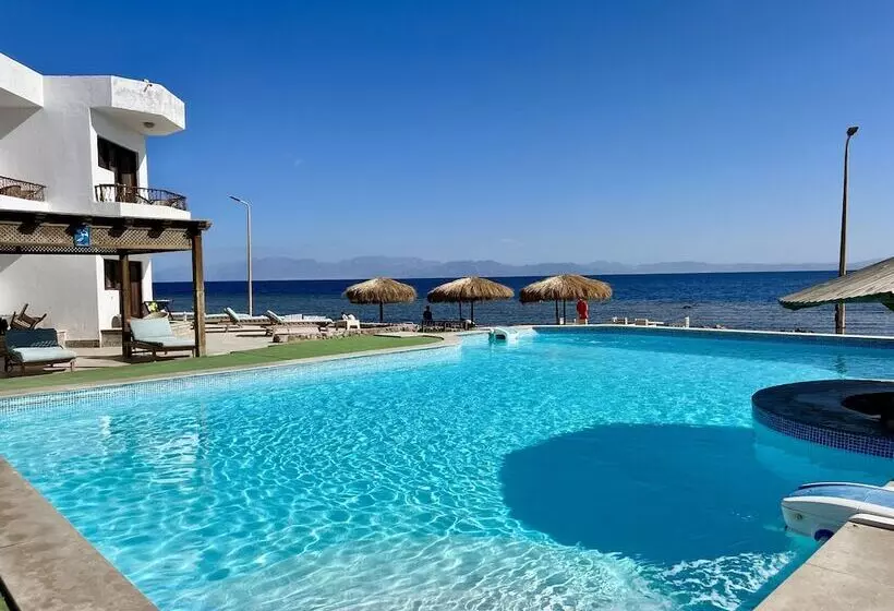 Fotos del hotel Dyarna Dahab:  20