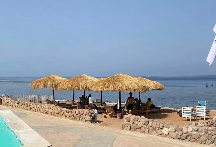 Fotos del hotel Dyarna Dahab:  7