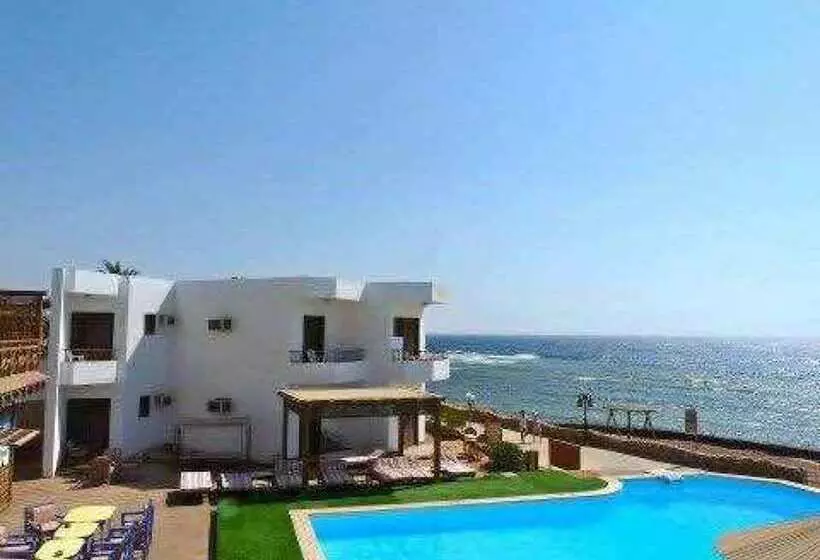 Fotos del hotel Dyarna Dahab:  14