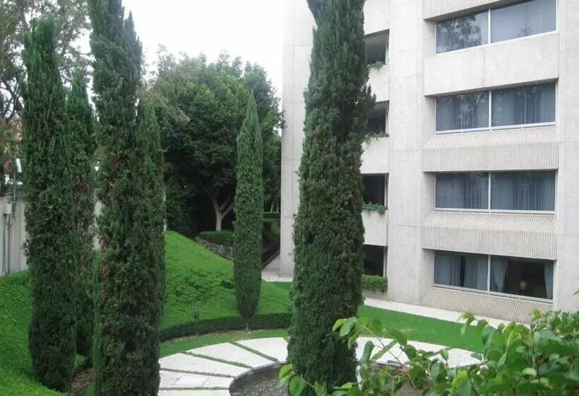 Fotos del hotel Royal Pedregal:  8