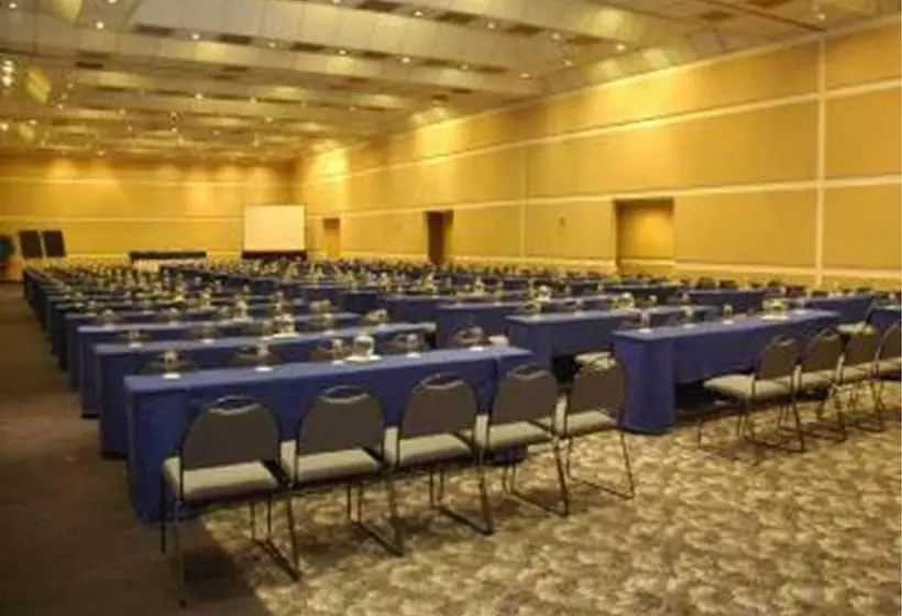 Fotos del hotel Royal Pedregal:  7