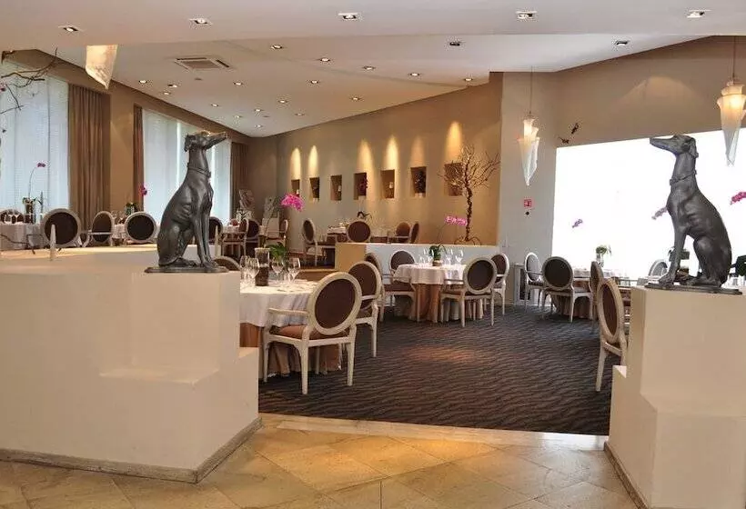 Fotos del hotel Royal Pedregal:  5