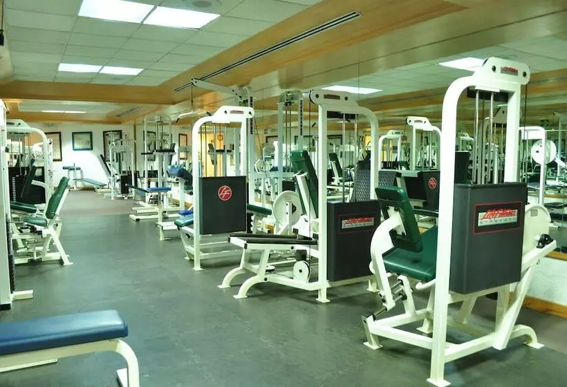 Fotos del hotel Royal Pedregal:  4