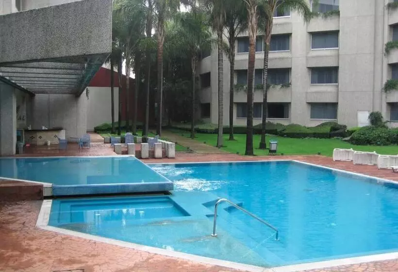 Fotos del hotel Royal Pedregal:  2