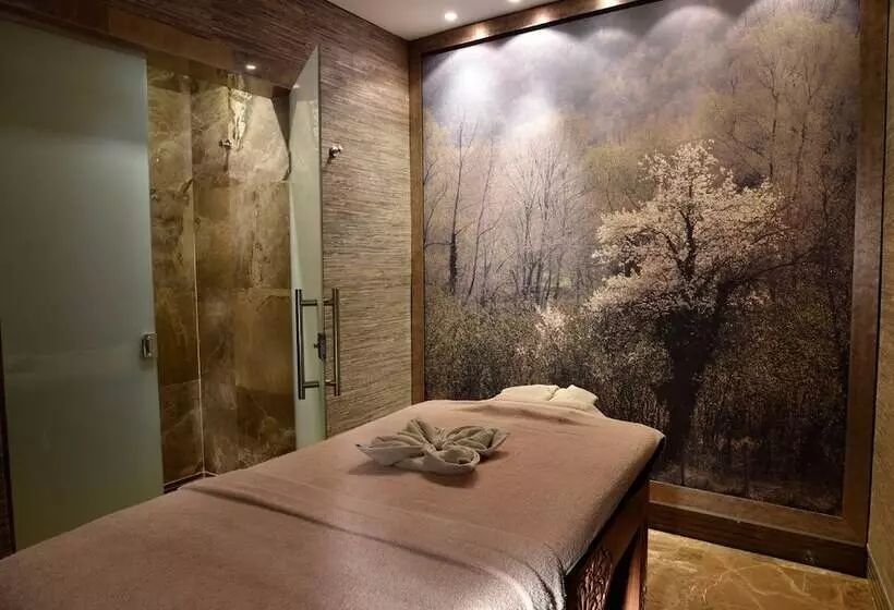 Fotos del hotel Cvk Taksim Hotel Istanbul:  3