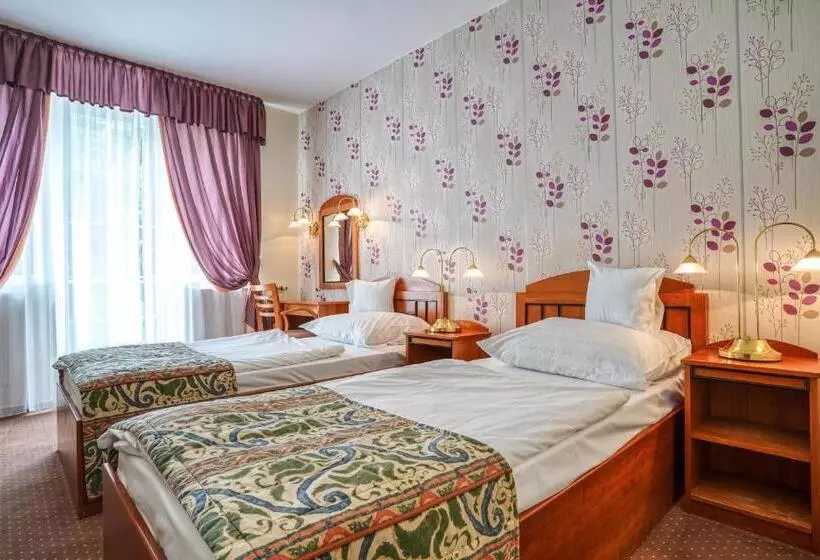 Fotos del hotel Erzsébet  Hévíz:  9