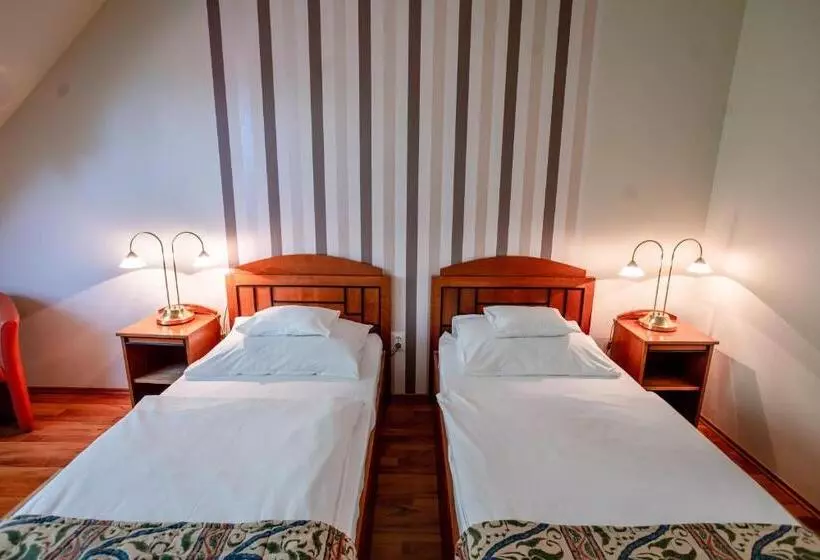 Fotos del hotel Erzsébet  Hévíz:  10