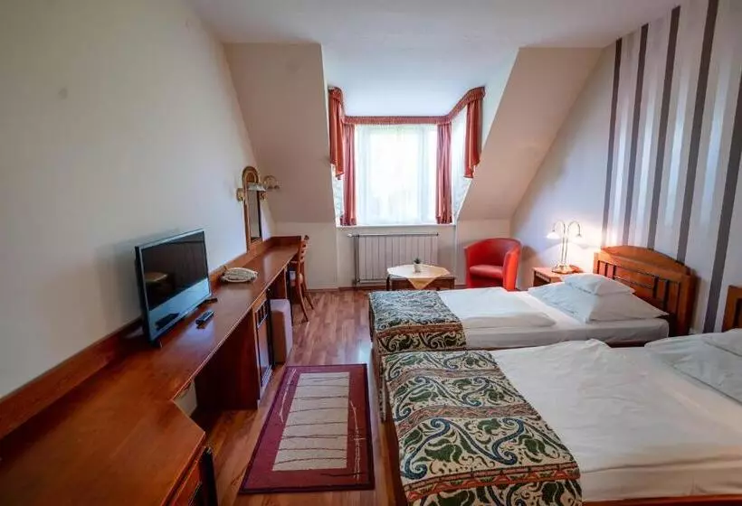 Fotos del hotel Erzsébet  Hévíz:  22