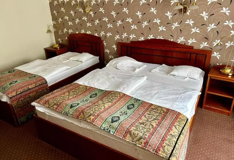 Fotos del hotel Erzsébet  Hévíz:  18