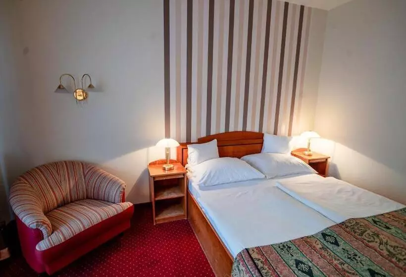 Fotos del hotel Erzsébet  Hévíz:  8