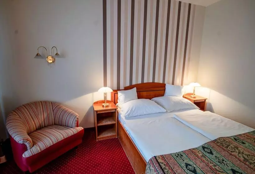 Fotos del hotel Erzsébet  Hévíz:  5