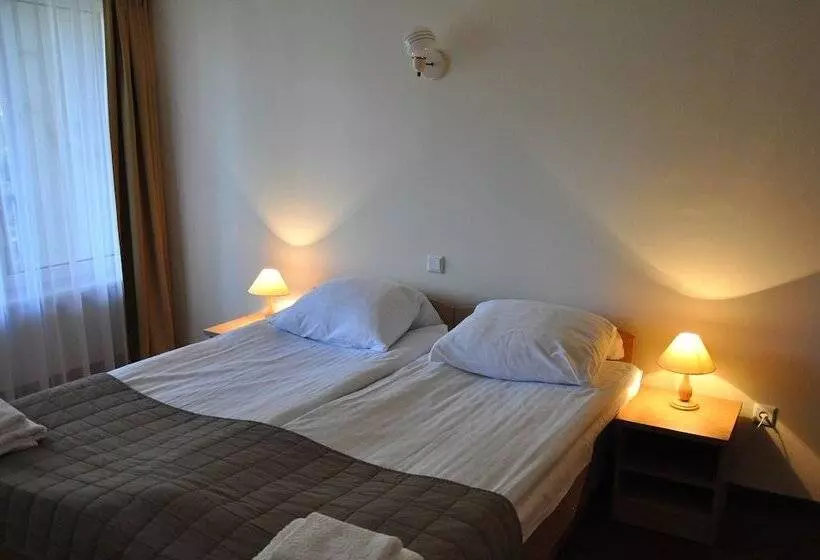 Fotos del hotel Hotel Orle:  19