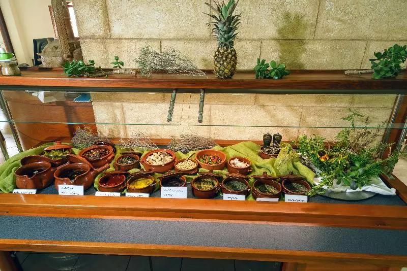 Fotos del hotel Alianthos Beach:  6