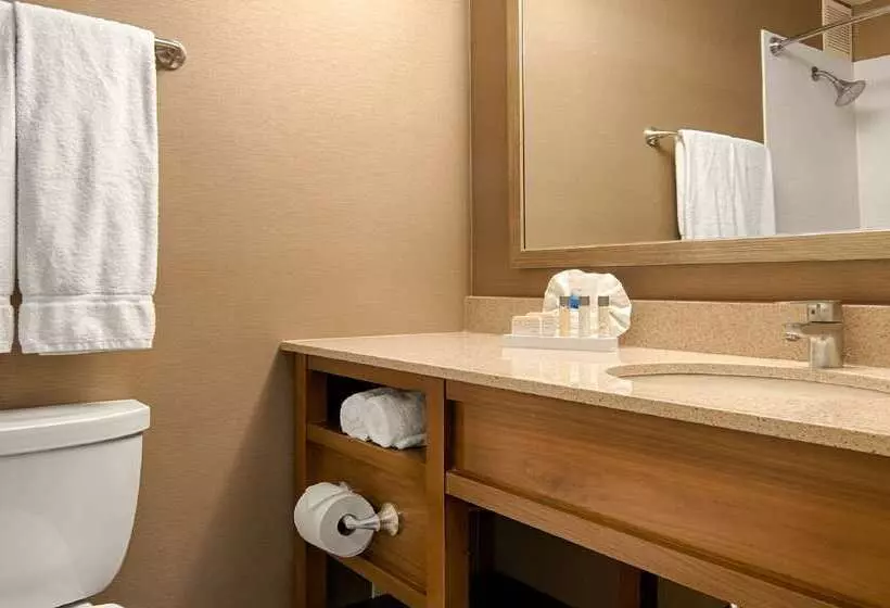 Fotos del hotel Best Western Grant Park:  7