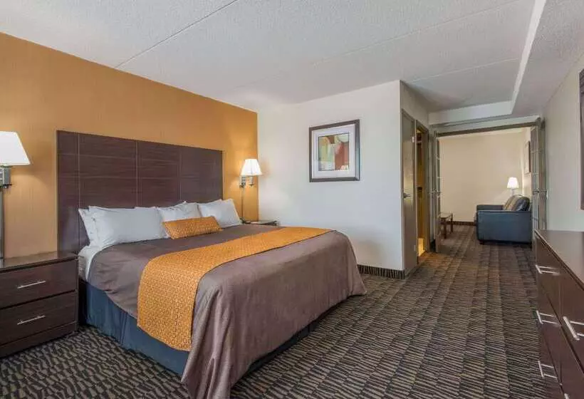 Fotos del hotel Ramada Plaza By Wyndham Niagara Falls:  15
