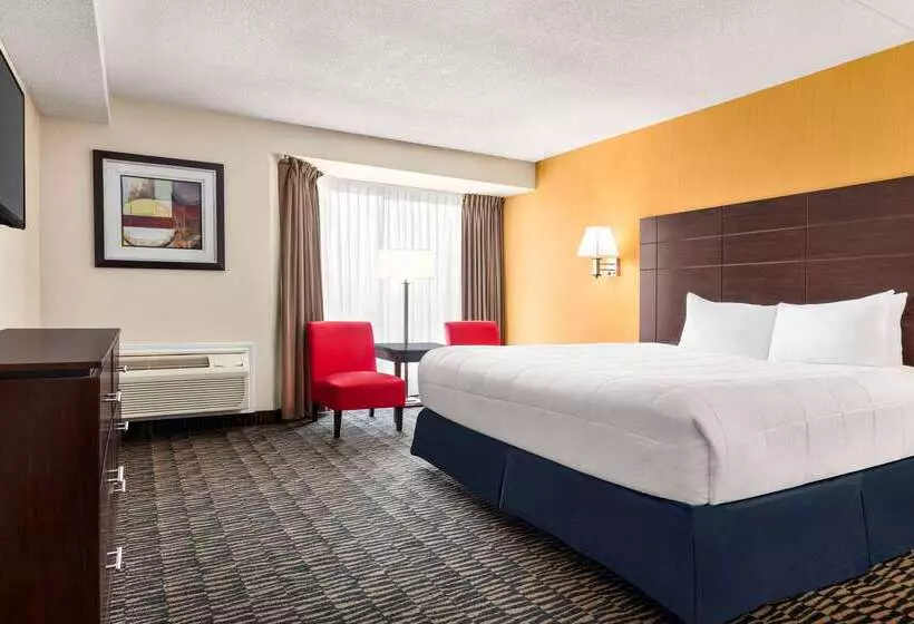 Fotos del hotel Ramada Plaza By Wyndham Niagara Falls:  4